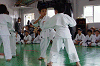 siro (148)_samu.gif